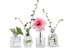 Mapoxy Mini Glass Vases: Enhance Your Decor with Timeless Elegance