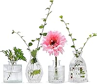 Mapoxy Glass Bud Vases Set of 4 - Clear Vintage Embossed Mini Flower Vases for Wedding Centerpieces, Party & Home Decor
