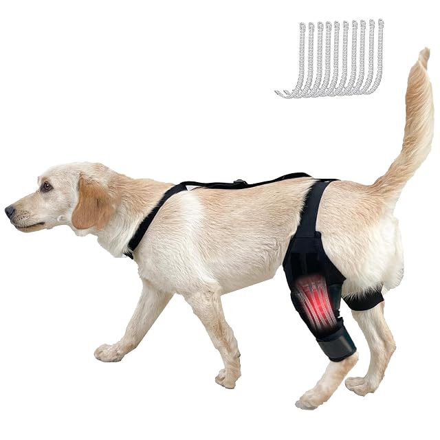 RUYICZB Férulas para Patas Traseras De Perro