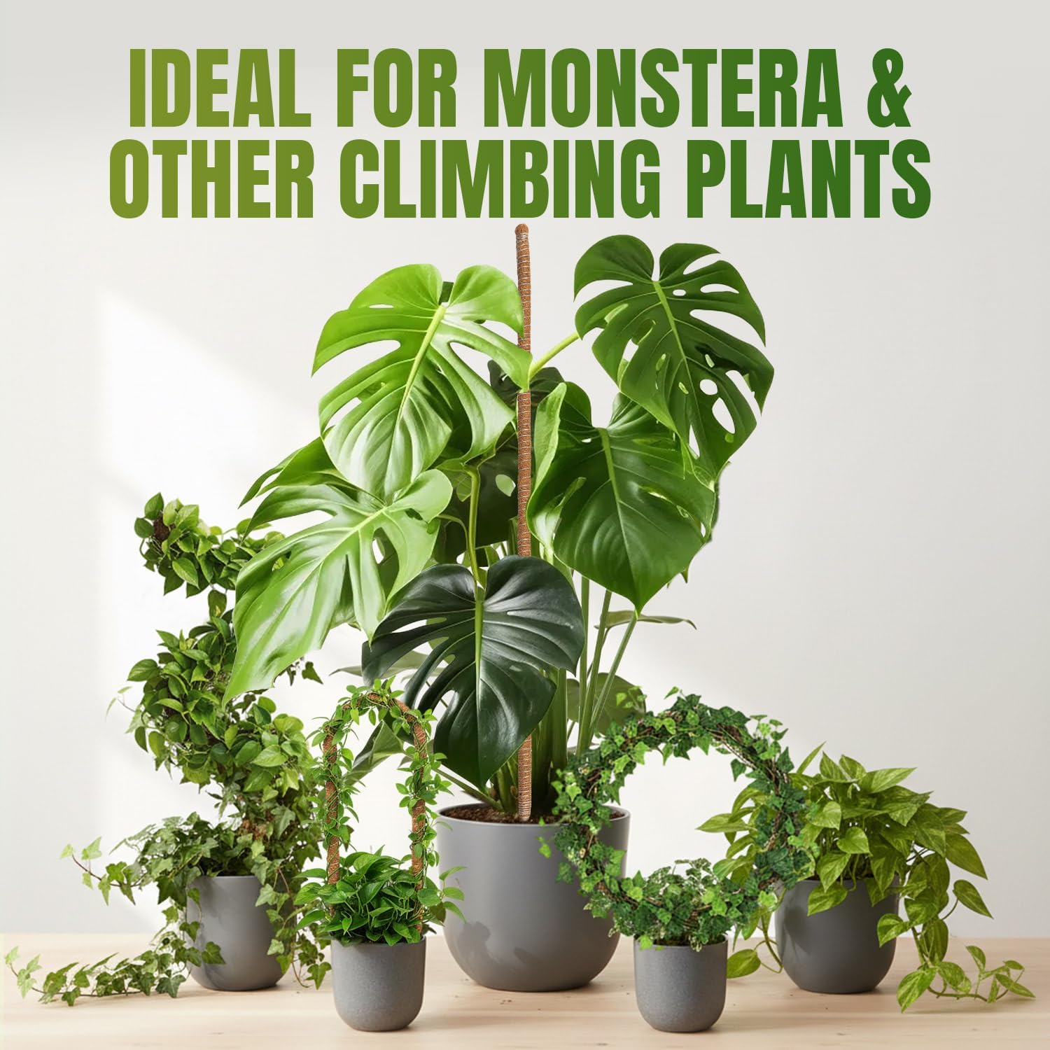 Mcbazel 2 Pack 63 Inch Bendable Moss Pole for Plants Monstera - Extra Tall 5.2ft Coco Coir Plant Support Stakes for Large Indoor Climbing Vines - Flexible Totem Stick Kit with Rope, Wire & Ties image 3
