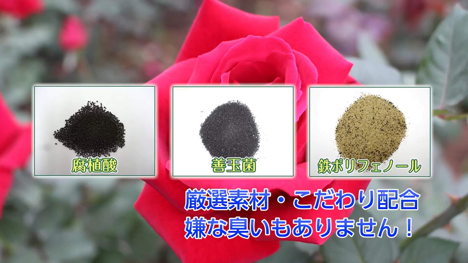 Amazon | 住友化学園芸 培養土 マイローズばらの培養土 10L 薔薇