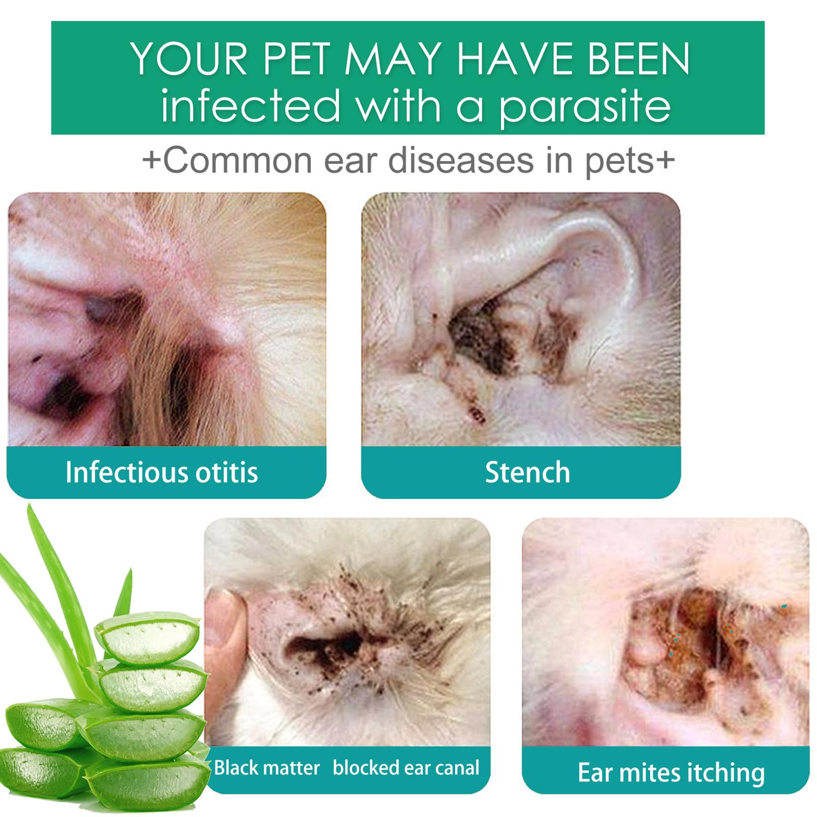 Nettoyant d'oreille avancé pour chiens et chats, nettoie le conduit auditif, désodorisant et anti-démangeaisons, solution naturelle de nettoyage des oreilles de chien pour chiens, chats,