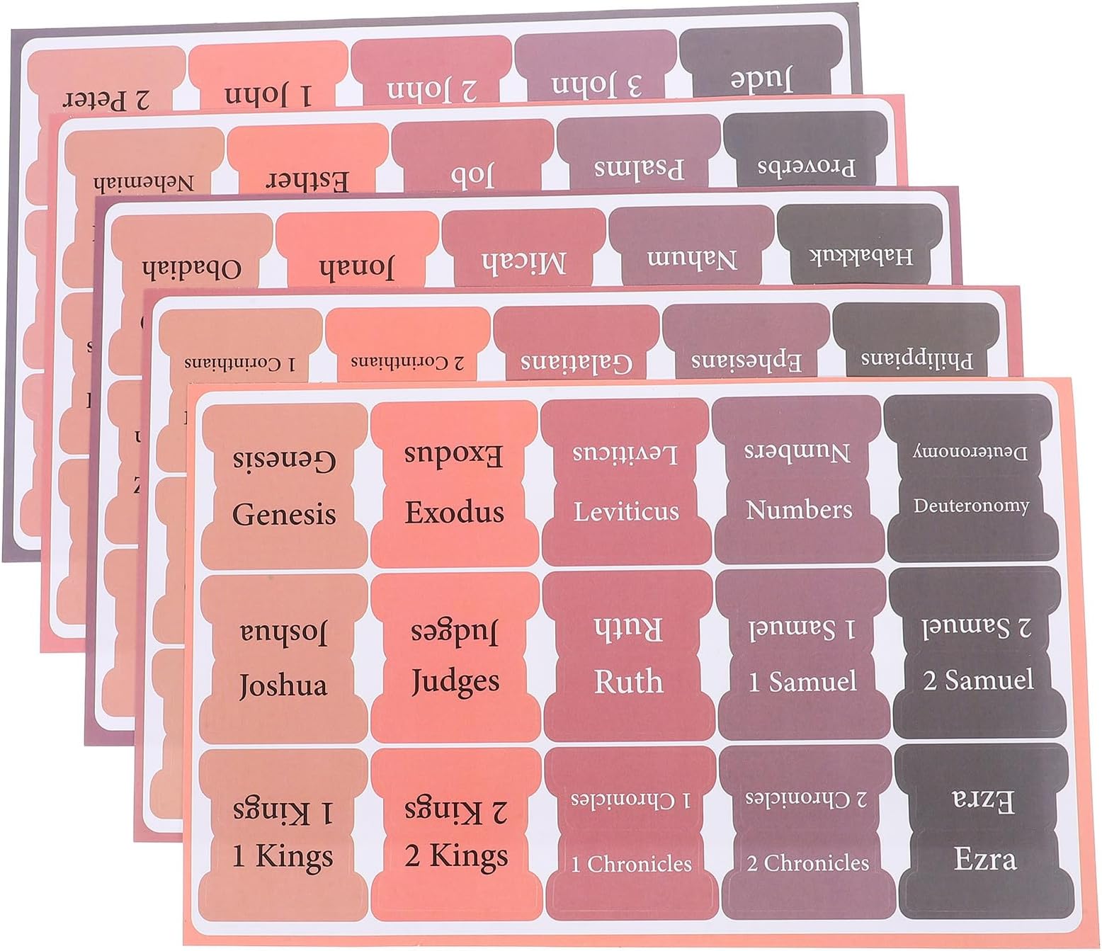 SHERCHPRY 5 Sheets Bible Index Tabs Bible Book Tabs 1.5 X 2.5 Inch Wear-resistant Coated Paper Appearance Convenient to Use for Women