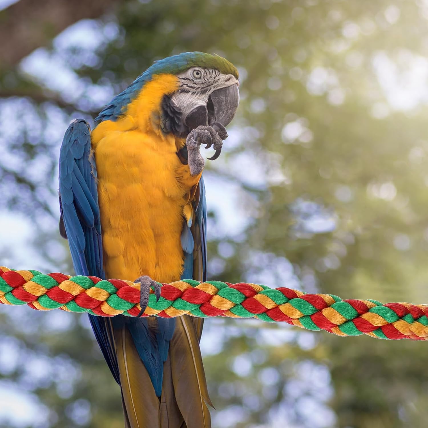 Parrot Rope Perch Climbing Set, 2Pcs (32Cm 56.5Cm) Sturdy Cotton Rope Bird Ladder with Paw Grinding Stand for Cage Accessories and Chewing Birds