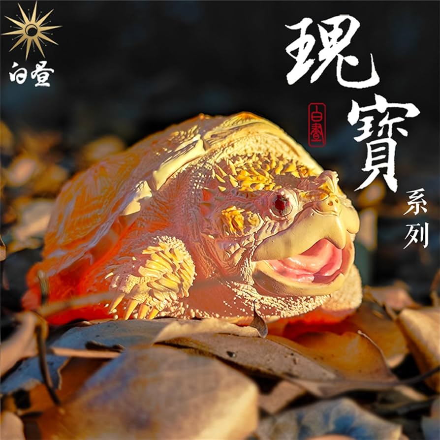 Naturetales セマルハコガメ　幼体フィギュア Naturetales セマルハコガメ 幼体フィギュア