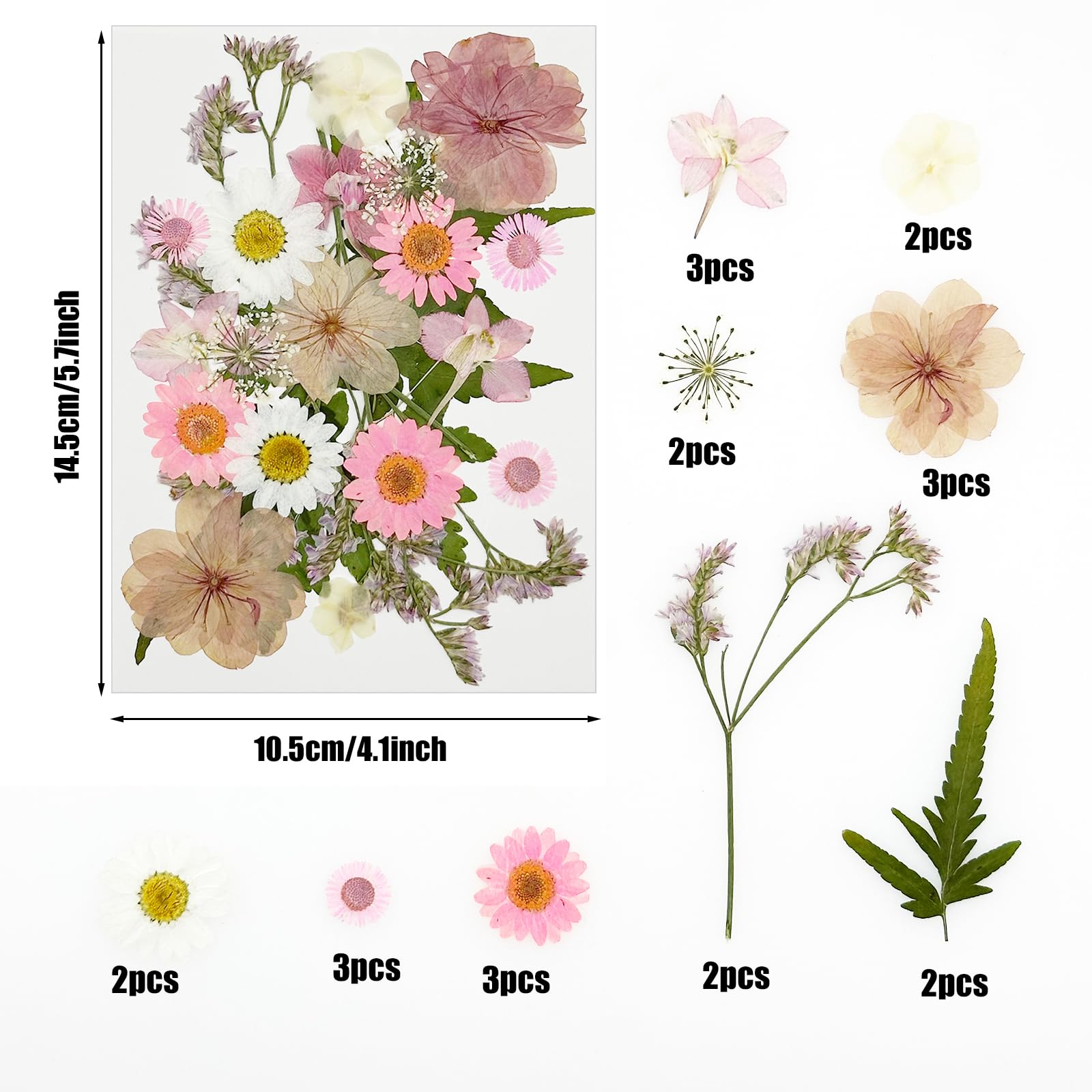 Tłoczone kwiaty, naturalne, suszone kwiaty, różowe kwiaty z żywicy, prawdziwe prasowane kwiaty do scrapbookingu, DIY, rzemiosła artystycznego, żywicy epoksydowej, artykuły jubilerskie, 44 szt