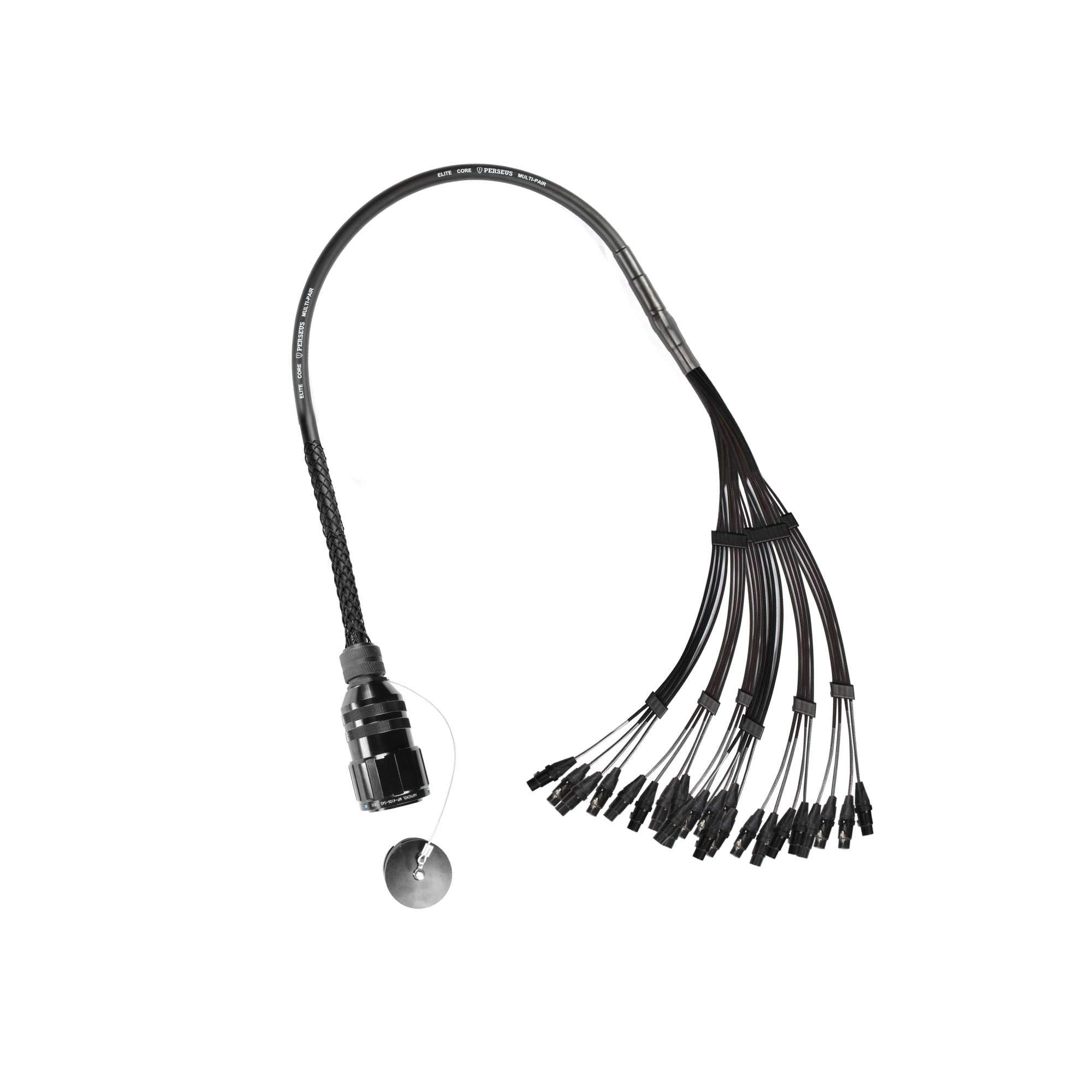 Elite Core Perseus PERS24-AMP-FI 24 Channel Amphenol MP-41 Multi-Pin to Female XLR Fan in