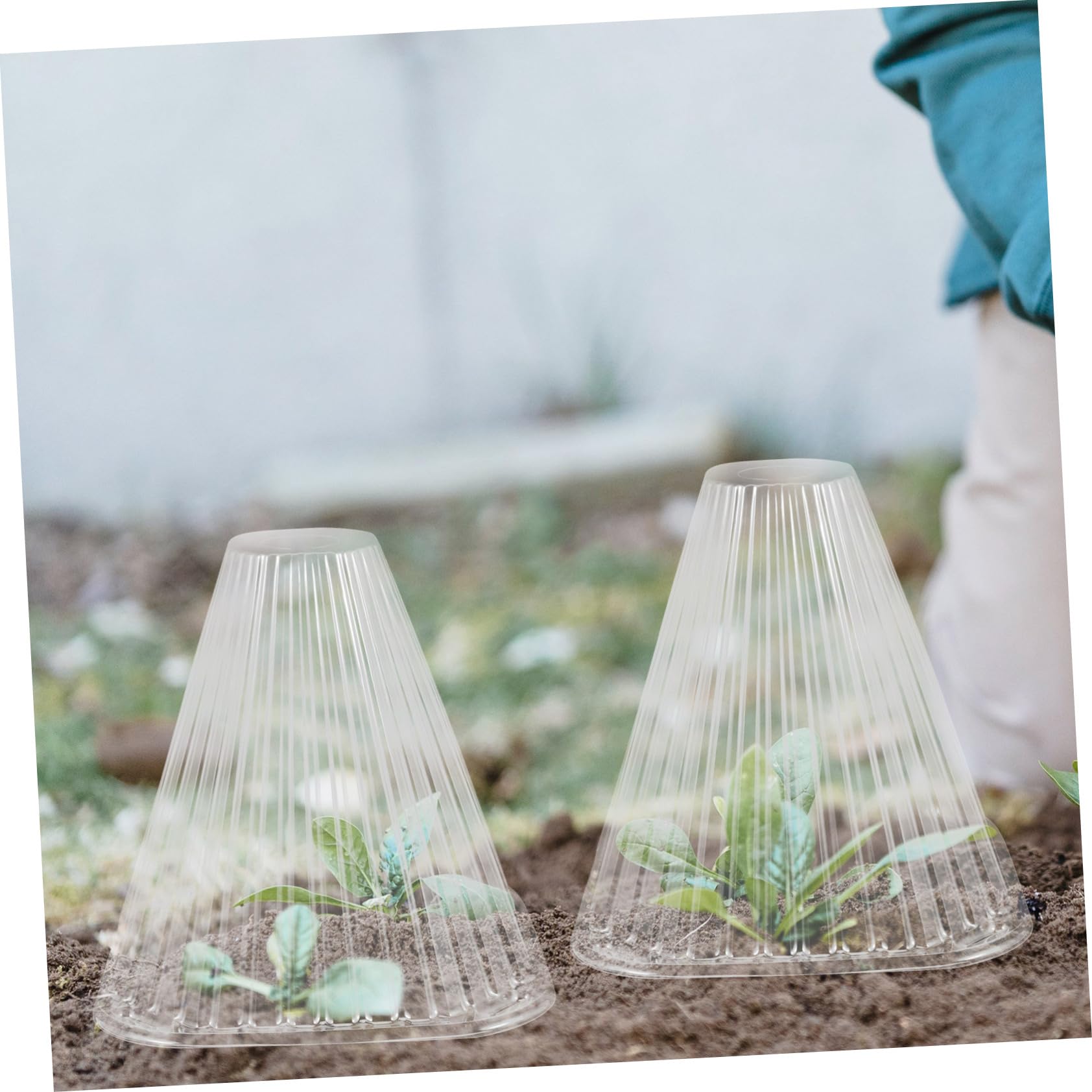 Cloches Coniques pour Protection des Semis en Pet Lot de 10 Protège Légumes et Fleurs Facile à Installer, pour Jardinage Intérieur et Extérieur