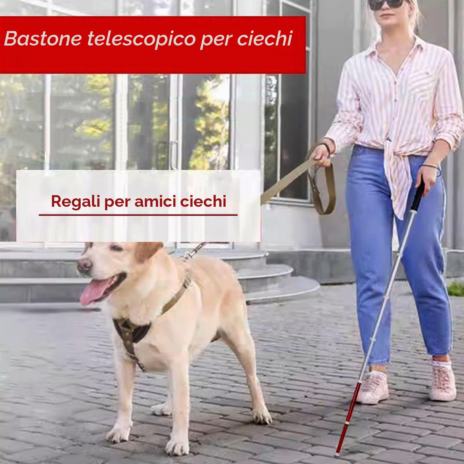 Bastone Telescopico per Cieco - 125 Cm（50,7″） | Bastone Non Vedenti in lega di titanio per - punta rotante per persone con problemi di vista e non vedenti(7 sect.,125cm)