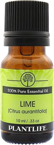 Vista 57 de Plantlife Aceite esencial de aromaterapia de alcaravea, directamente de la planta, 100% puro, grado terapéutico, sin aditivos ni rellenos, 0.3 fl oz