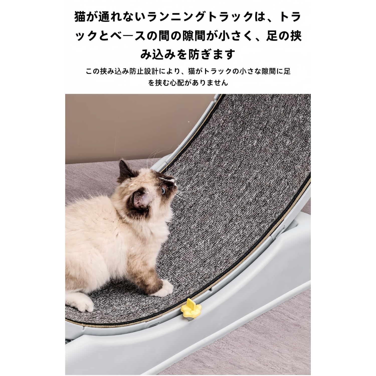 Amazon | Stewlt ペット用トレッドミル ランニングホイール サイレント