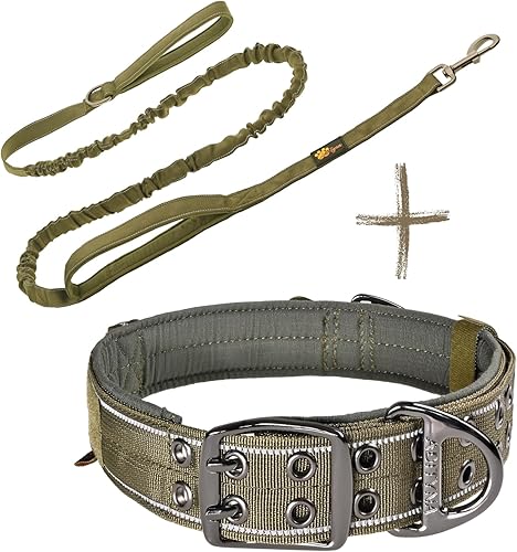 Juego de correa y collar para perros extragrandes Green Bungee