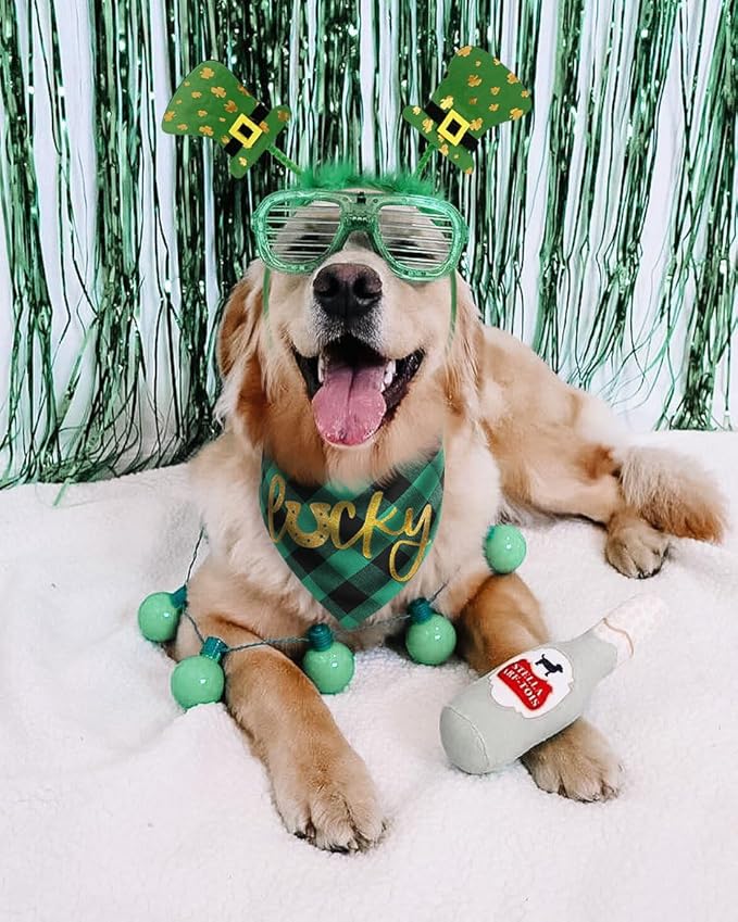 Disfraz para Perro St. Patrick's Day: Bandana Verde y Diadema Trébol miniatura 3