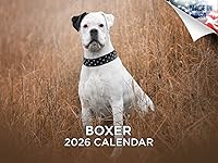 Vista 78 de Razas de Perros 2017