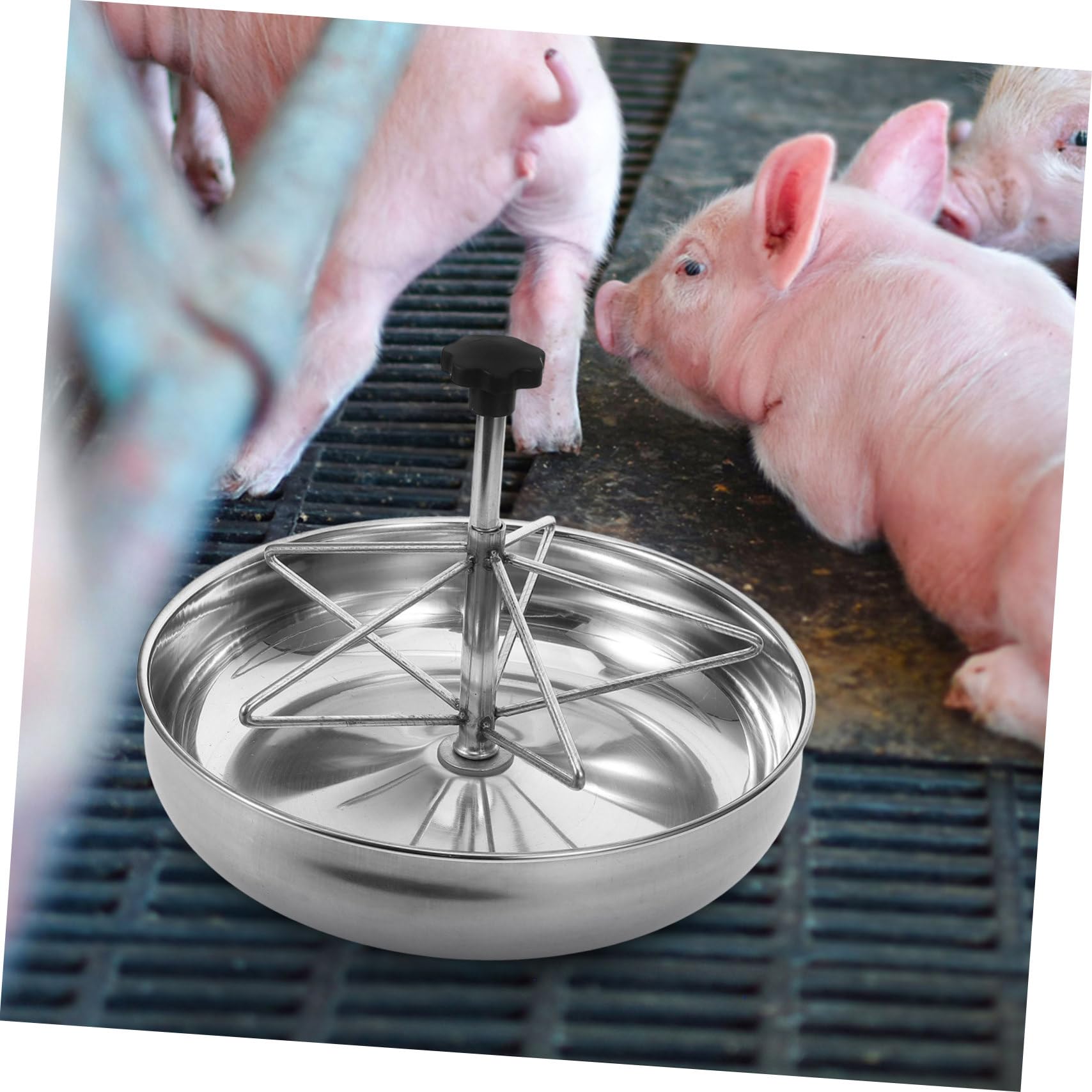 Alimentatore Per Suinetti Inossidabile Trogolo Stabile e Facile Da Pulire Per Allevamenti Di Maiali Resistente e Sicuro Mangiatoia Per Animali Da Fattoria