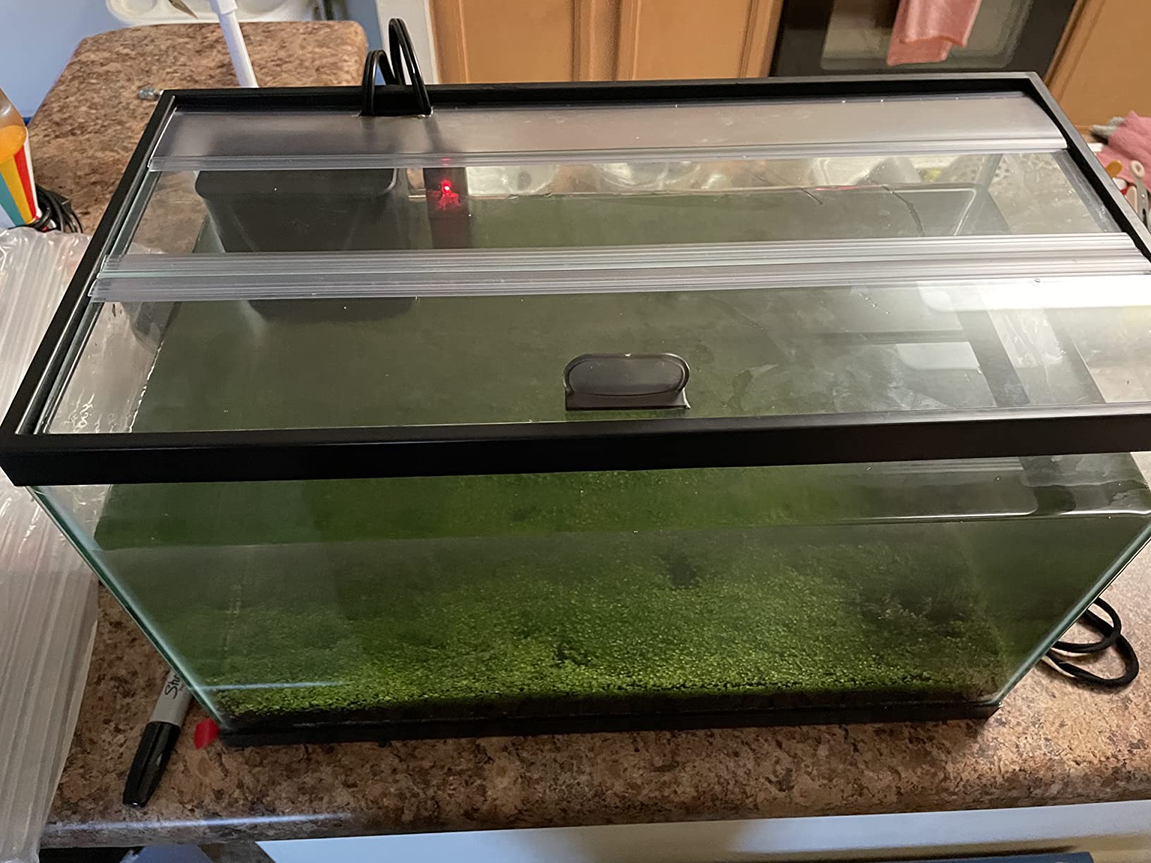 6/mo Finance H2Pro 20" Glass Canopy 10 Gallon Aquarium Fish Tank (19