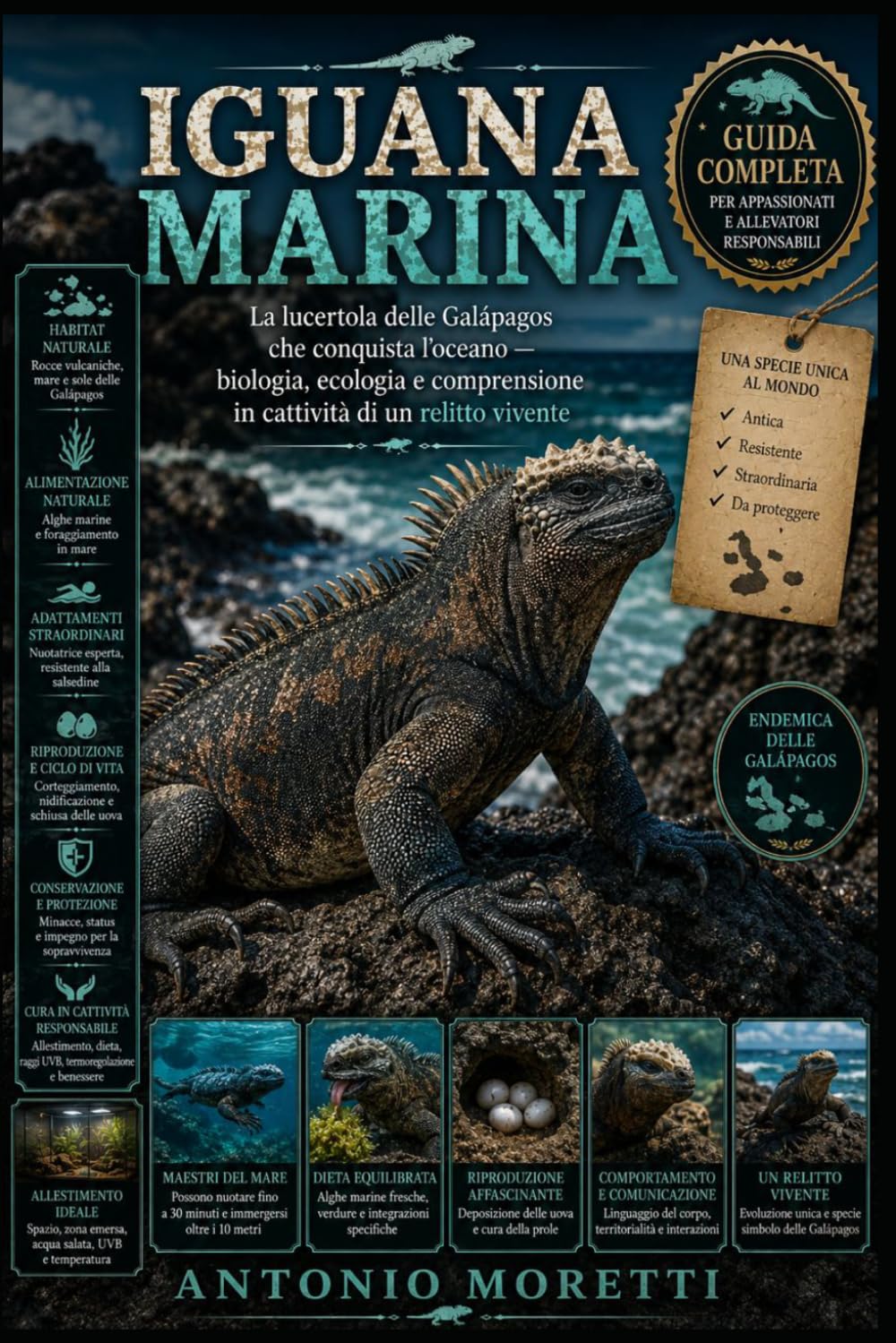 IGUANA MARINA: La lucertola delle Galápagos che conquista l’oceano — biologia, ecologia e comprensione in cattività di un relitto vivente
