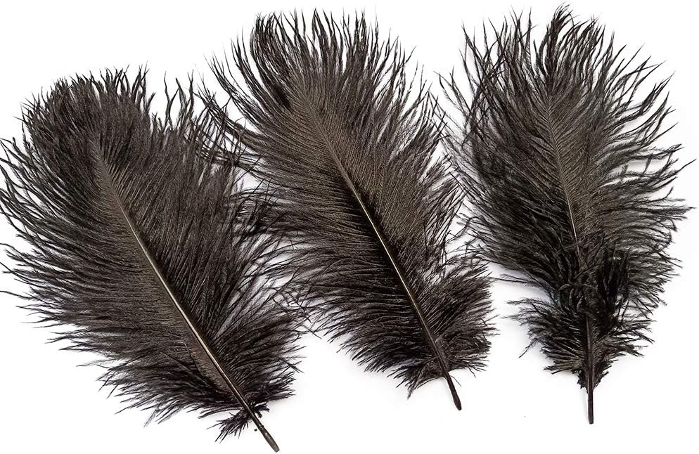wanjin Ostrich Feathers 12-14inch(30-35cm) for Home Wedding Decoration DIY Craft Feathers per Pack of 10 pcs(Black)