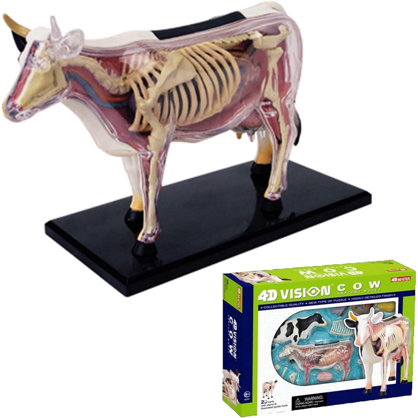 Modelo de vaca con visión 4D, modelo de anatomía de órganos vacunos desmontable de 29 piezas, juguete de ensamblaje de inteligencia vacuna, entrenamiento veterinario en clínicas veterinarias.