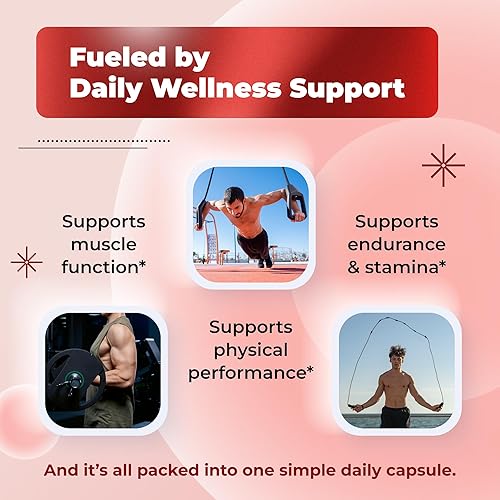 Miniatura 3 de Ultra Turkesterone Ajuga Turkestanica estandarizado 20% Turkesterone de alta potencia con raíz de maca Tribulus Terrestris - Soporte de memoria