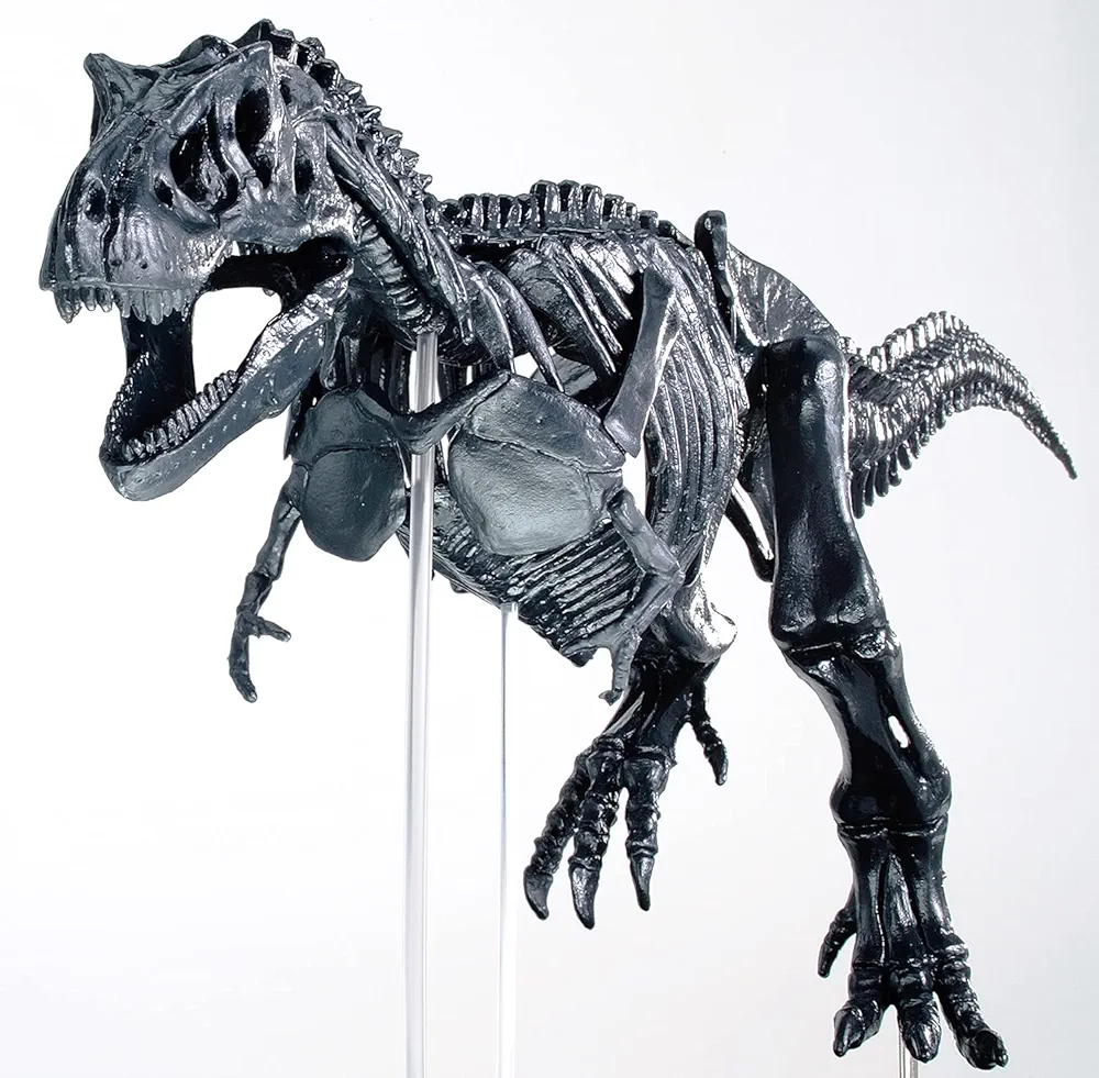 Amazon.co.jp: ティラノサウルス1/35骨格模型キット&本物の大き