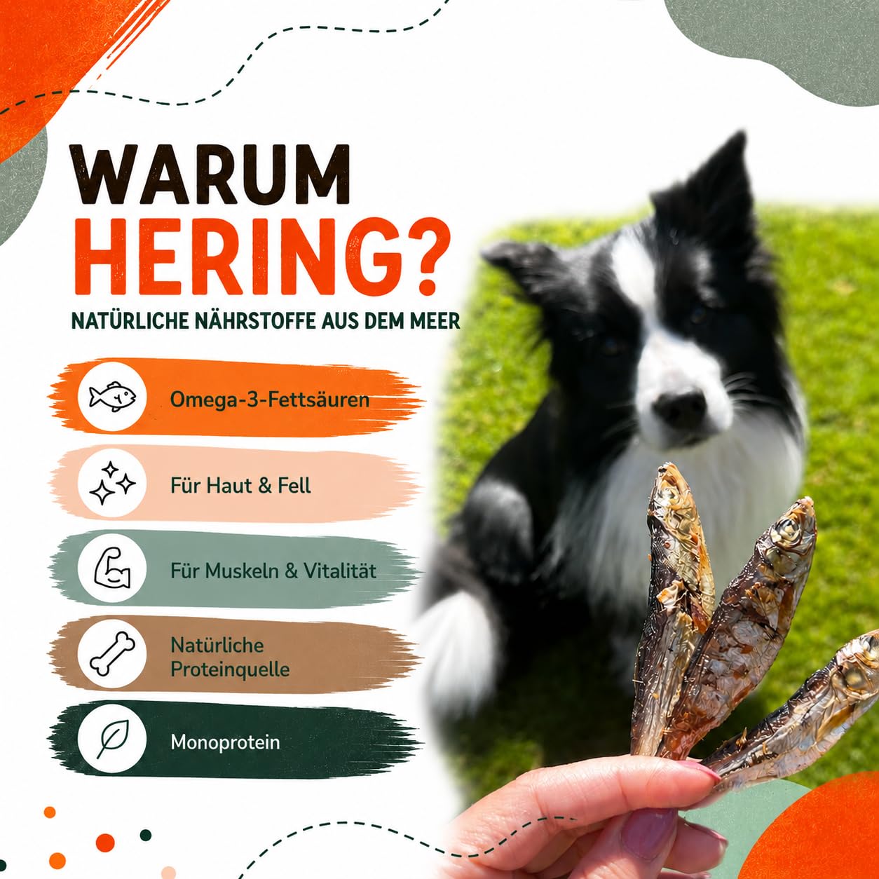100% Hering getrocknet für Hunde, Natürlicher Fischsnack & Trockenfisch, Reich an Omega-3, Monoprotein, Ohne Zusatzstoffe, (1kg)