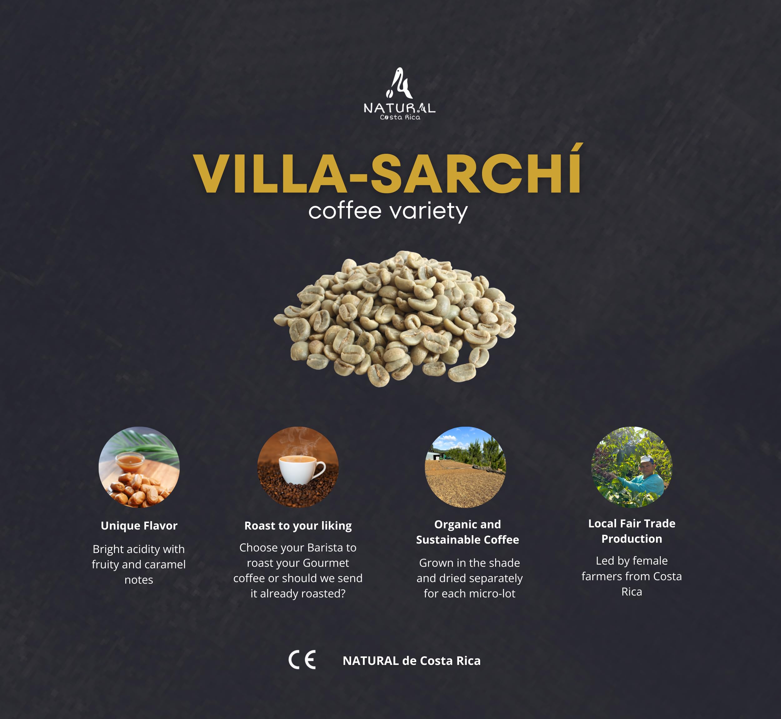 NATURAL de Costa Rica | Café en Grano Natural Premium Sin Tostar | Café de Especialidad 100% Arábica Gourmet Variedad VILLA-SARCHI | Kit Café Regalo 1kg