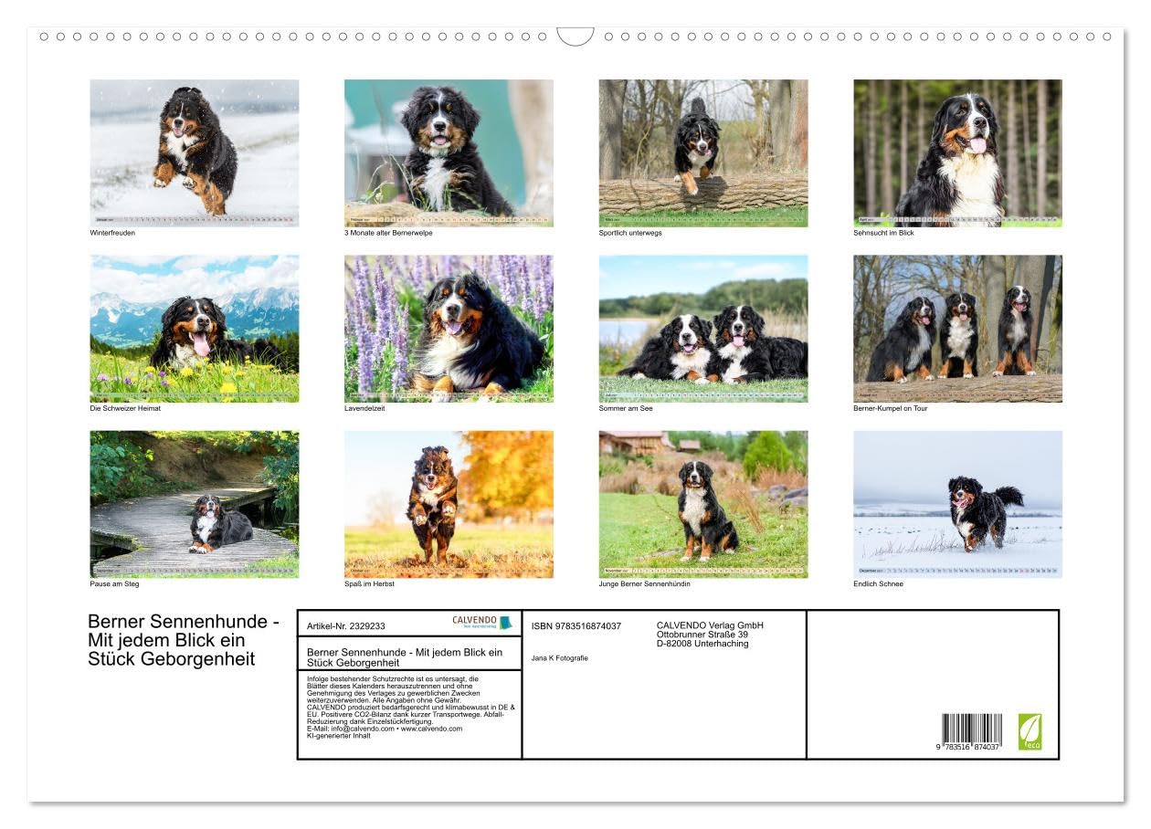 CALVENDO - Berner Sennenhunde - Mit jedem Blick ein Stück Geborgenheit (Wandkalender 2027 DIN A2 quer), Monatskalender: Bilder die Herz und Seele berühren