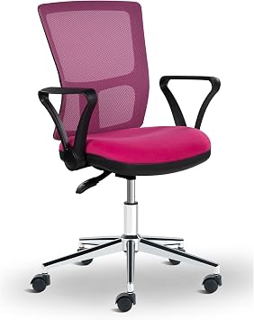 Vega Metal Ayaklı Çalışma Koltuğu Personel Koltuğu (Pembe)