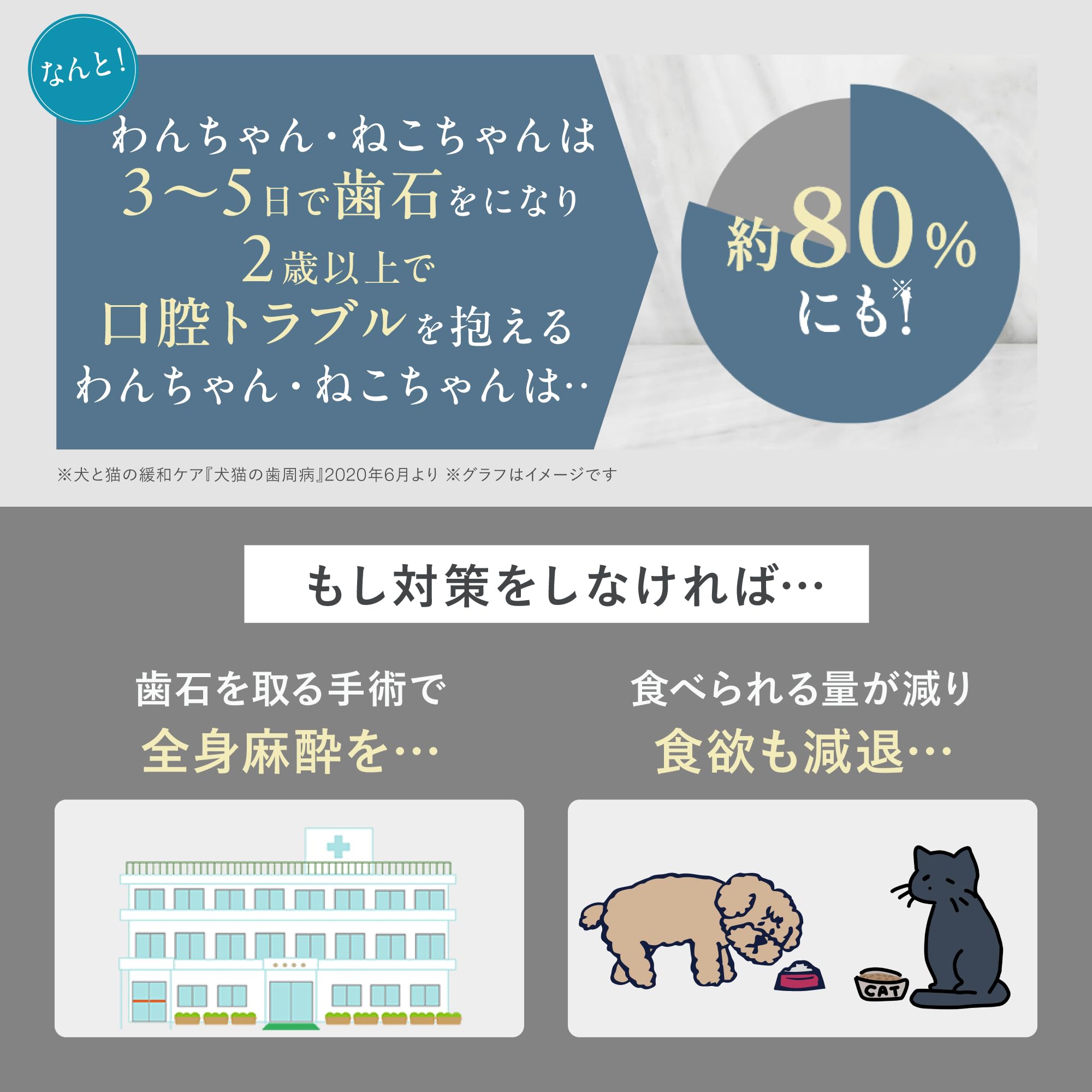 Amazon | [犬猫生活] デンタルピューレ 犬猫兼用 国産の鶏肉&まぐろ(5g