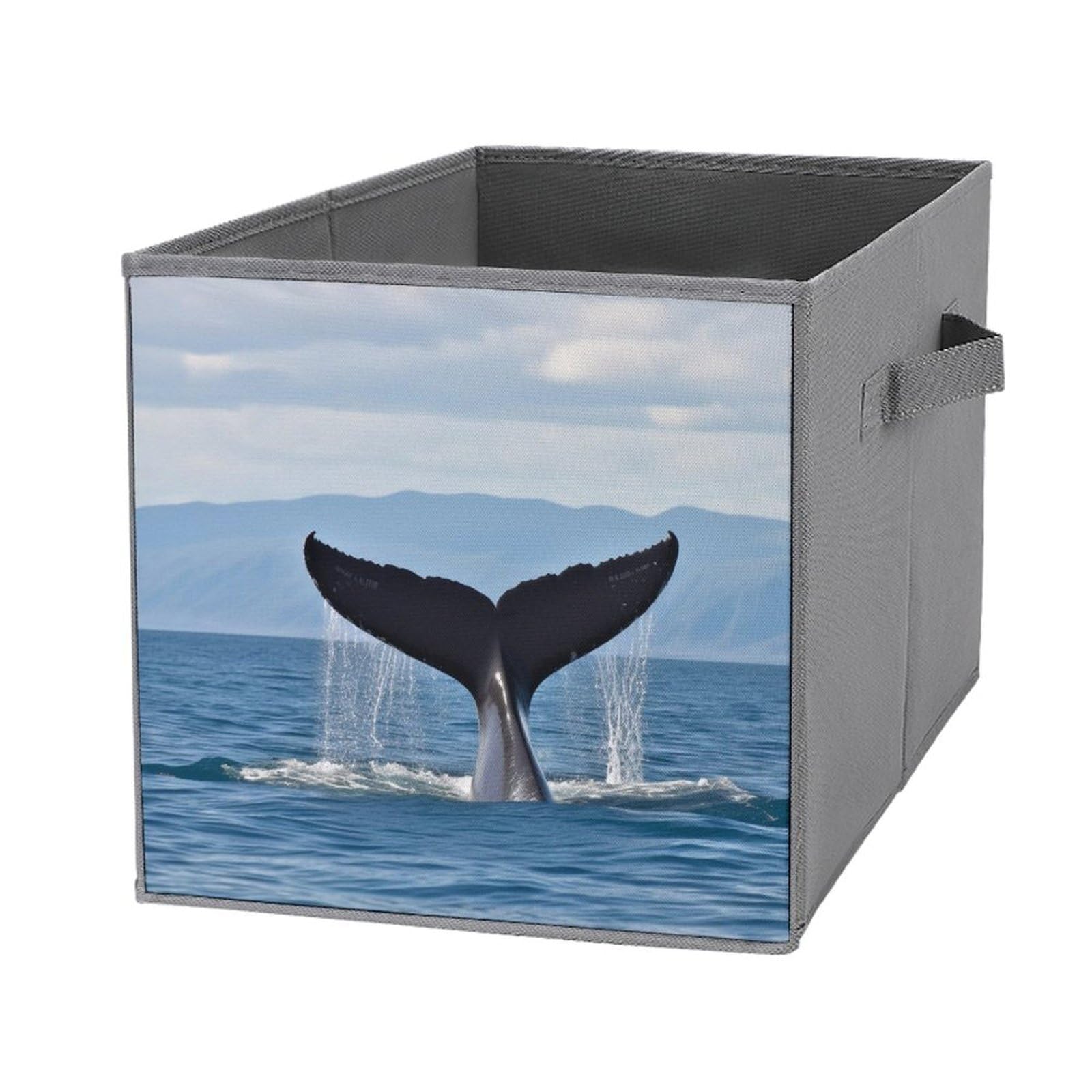 Boîte de rangement baleine pliable de 28cm pour trier vos vêtements