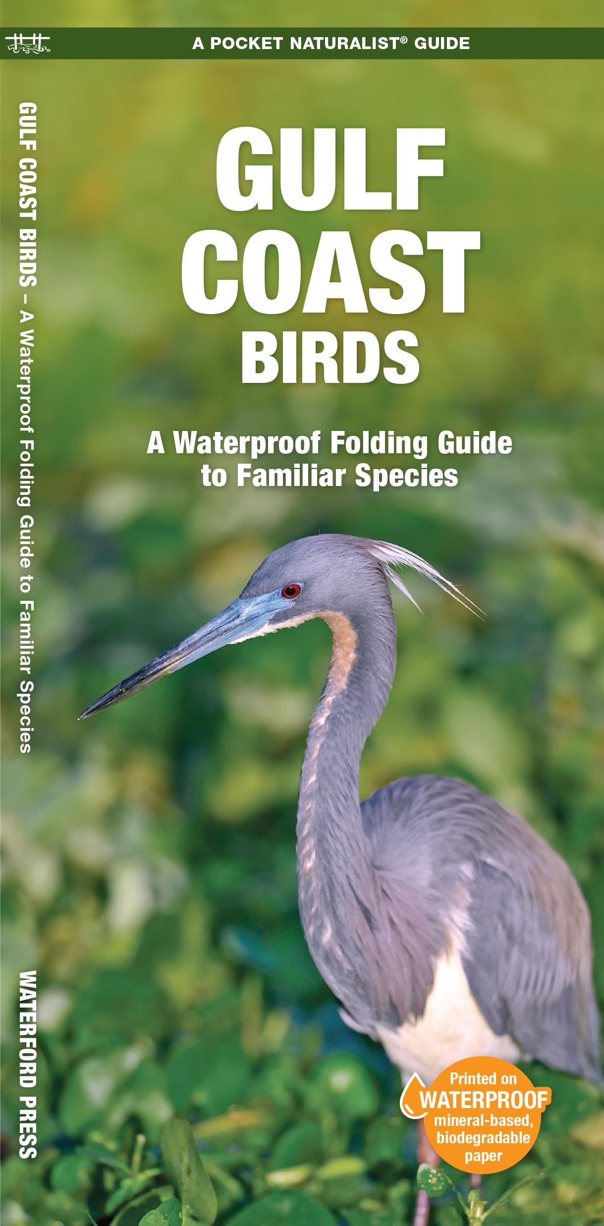 Gulf Coast Birds, 2nd Ed (Nature Observation North America)