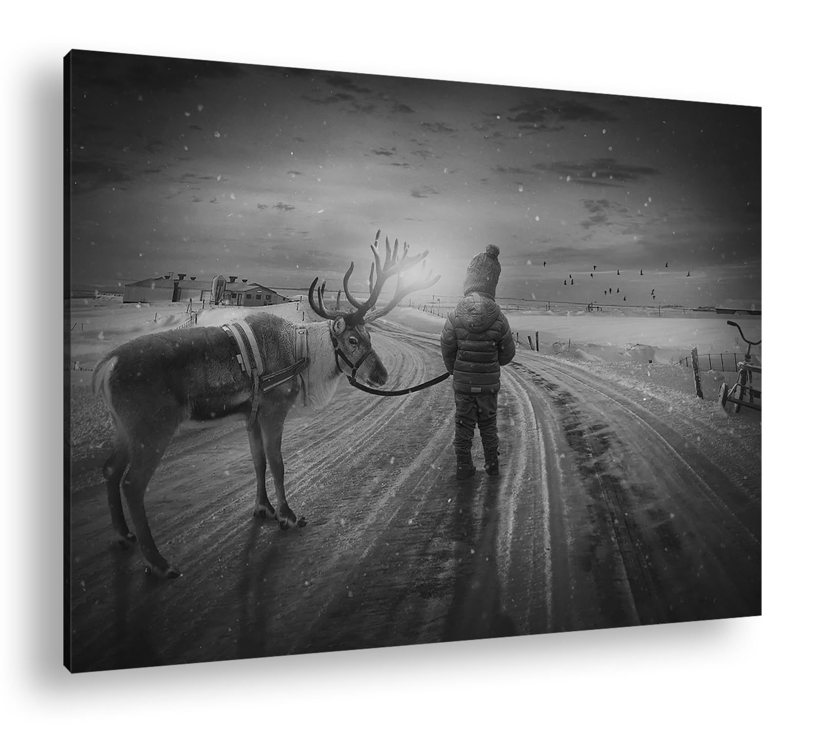 deyoli Viaje de invierno con un reno. Formato: 90 x 60 cm. Efecto: negro/blanco como lienzo, diseño enmarcado sobre marco de madera auténtica, impresión digital de alta calidad con marco