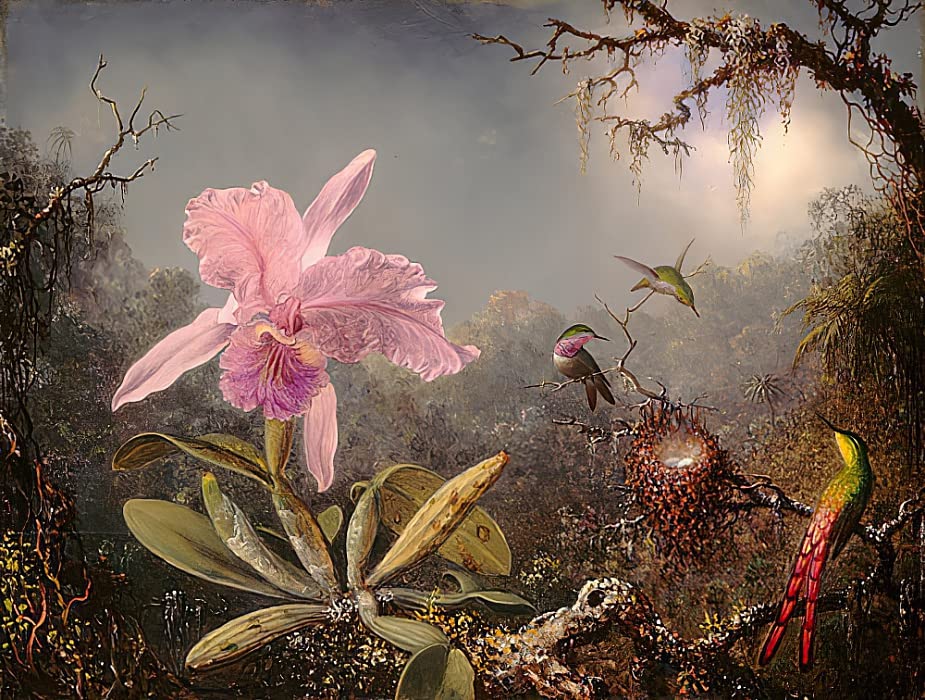 Toile Orchidée Cattleya et colibris Martin Johnson Heade 60x90cm