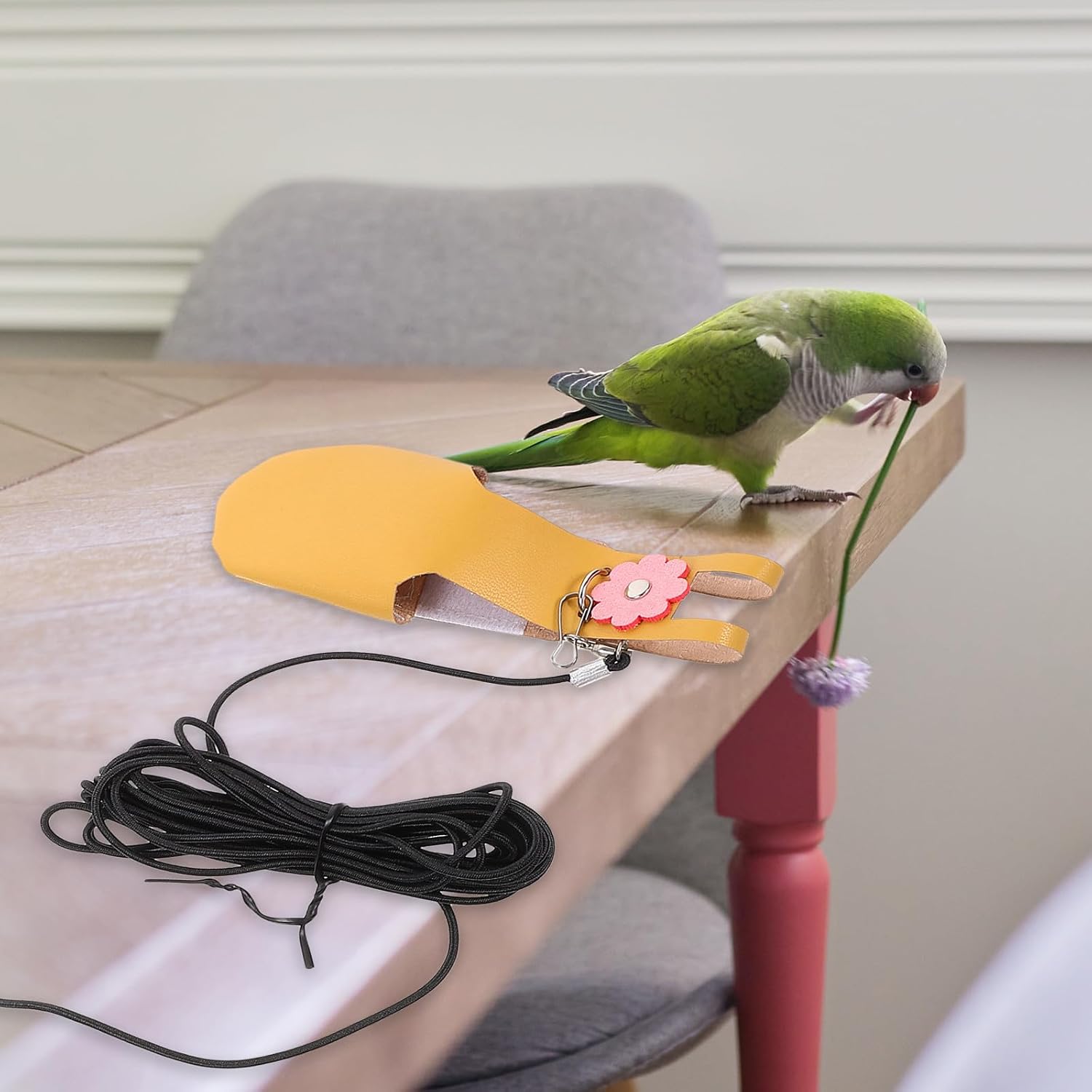 ERINGOGO Bird Parrot Diaper Flight Suit with 4m Leash Soft Breathable Suede Pet Bird Costume and Cockatiels for Hiking and Travel