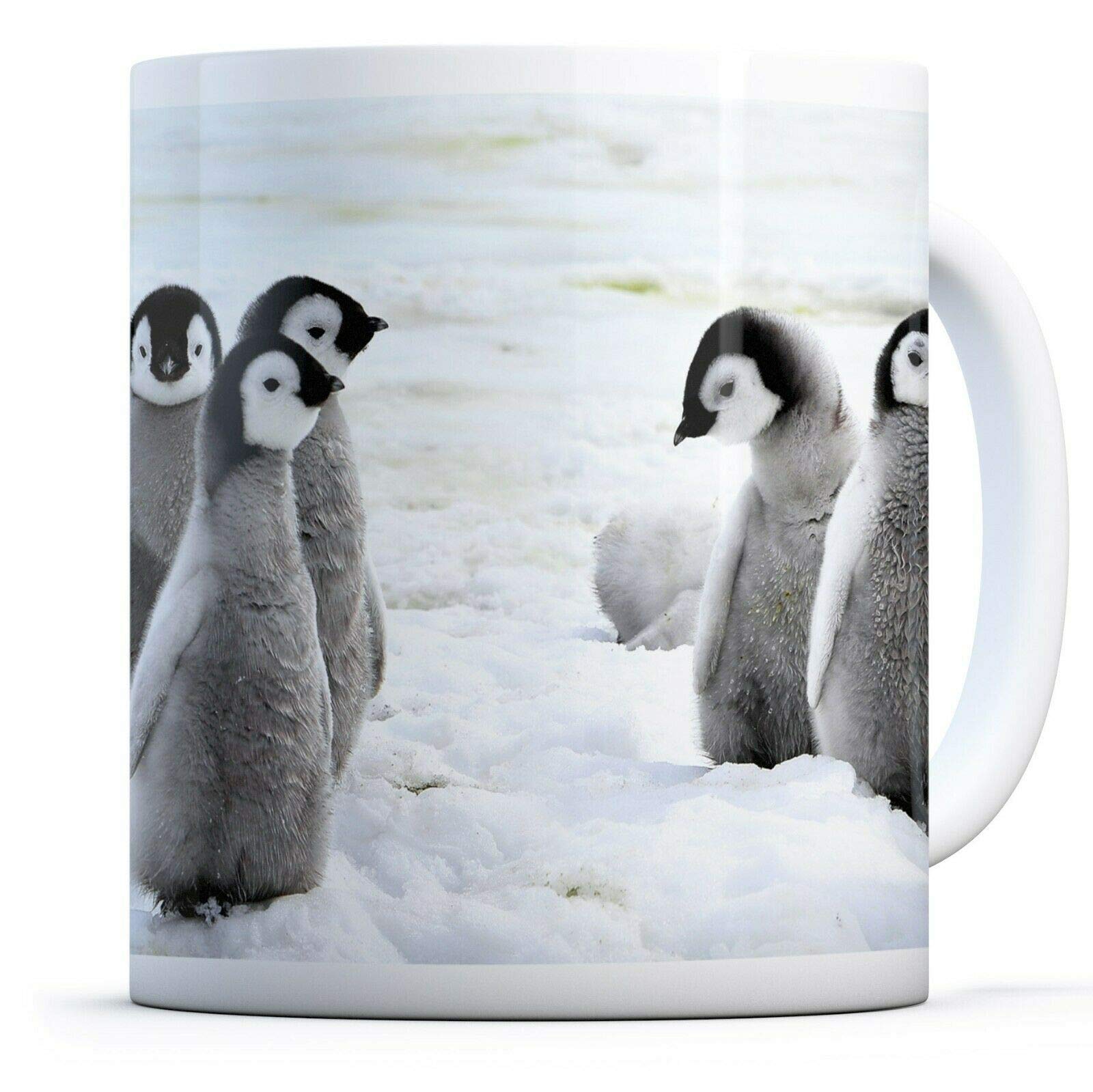 Emperor Penguin Chicks - Drinks Mug Cup Kitchen Birthday Office Fun #13280