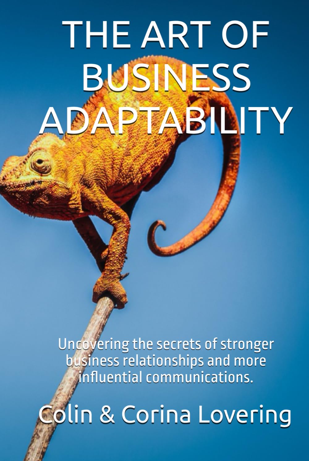 THE ART OF BUSINESS ADAPTABILITY: Uncovering the secrets of business relationships and communications
