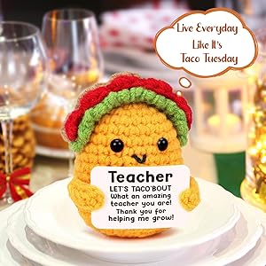 Teacher Appreciation Gifts for Women Funny Christmas Thanksgiving Birthday Gifts Thank You Gifts Cards First Day of School Teachers Week Day Graduation Leaving Farewell Mini Handmade Crochet Taco