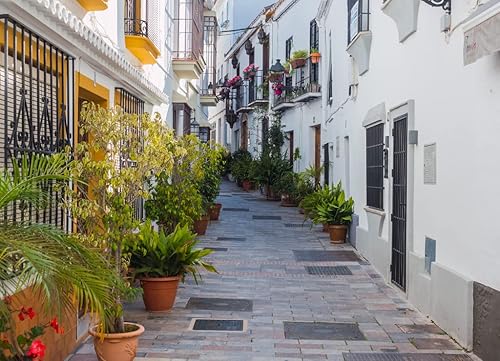Miniatura 2 de Noé Jigsaw Puzzle Calle Andaluza Típica con Maceta de Marbella, Costa del Sol, Provincia de Málaga. Calle Andaluza Vacía 1000 Piezas