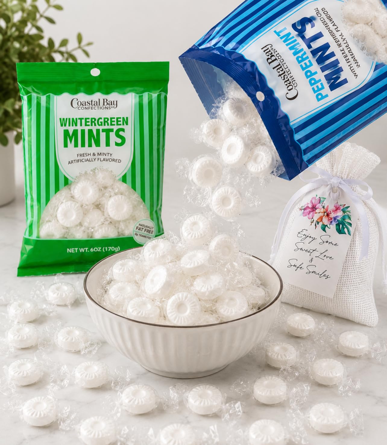 Amazon.com : Coastal Bay Fat Free Mints Variety Pack | 2 Flavors