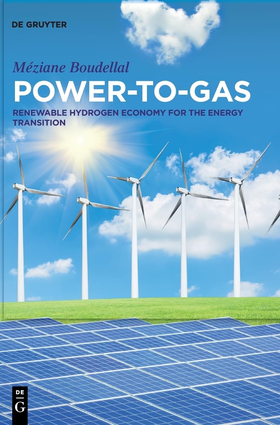 Power-to-Gas: Renewable Hydrogen Economy for the Energy Transition