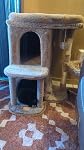 Review Image by Vets For Abandoned Pets