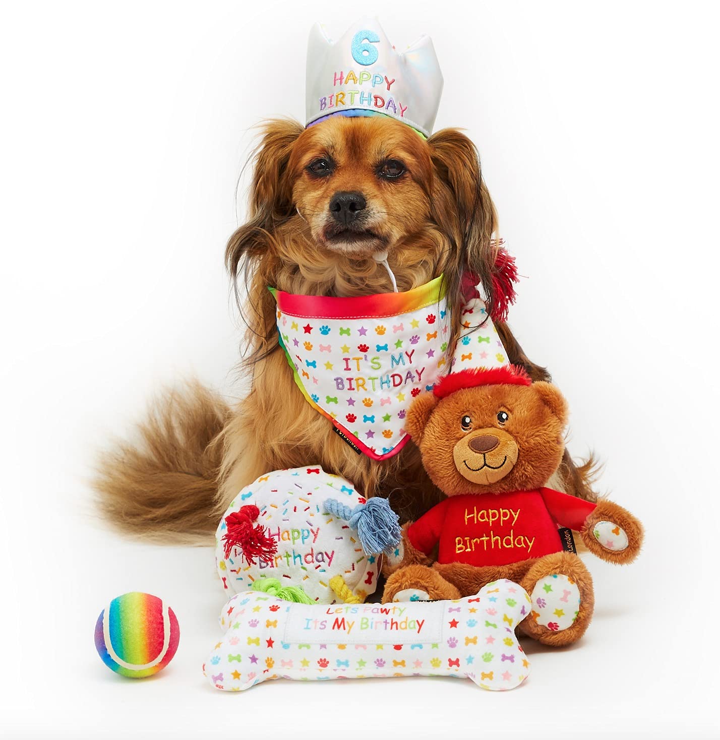 Coffret cadeau d'anniversaire pour chien 6 pièces avec jouets, chapeau et bandana Taille S