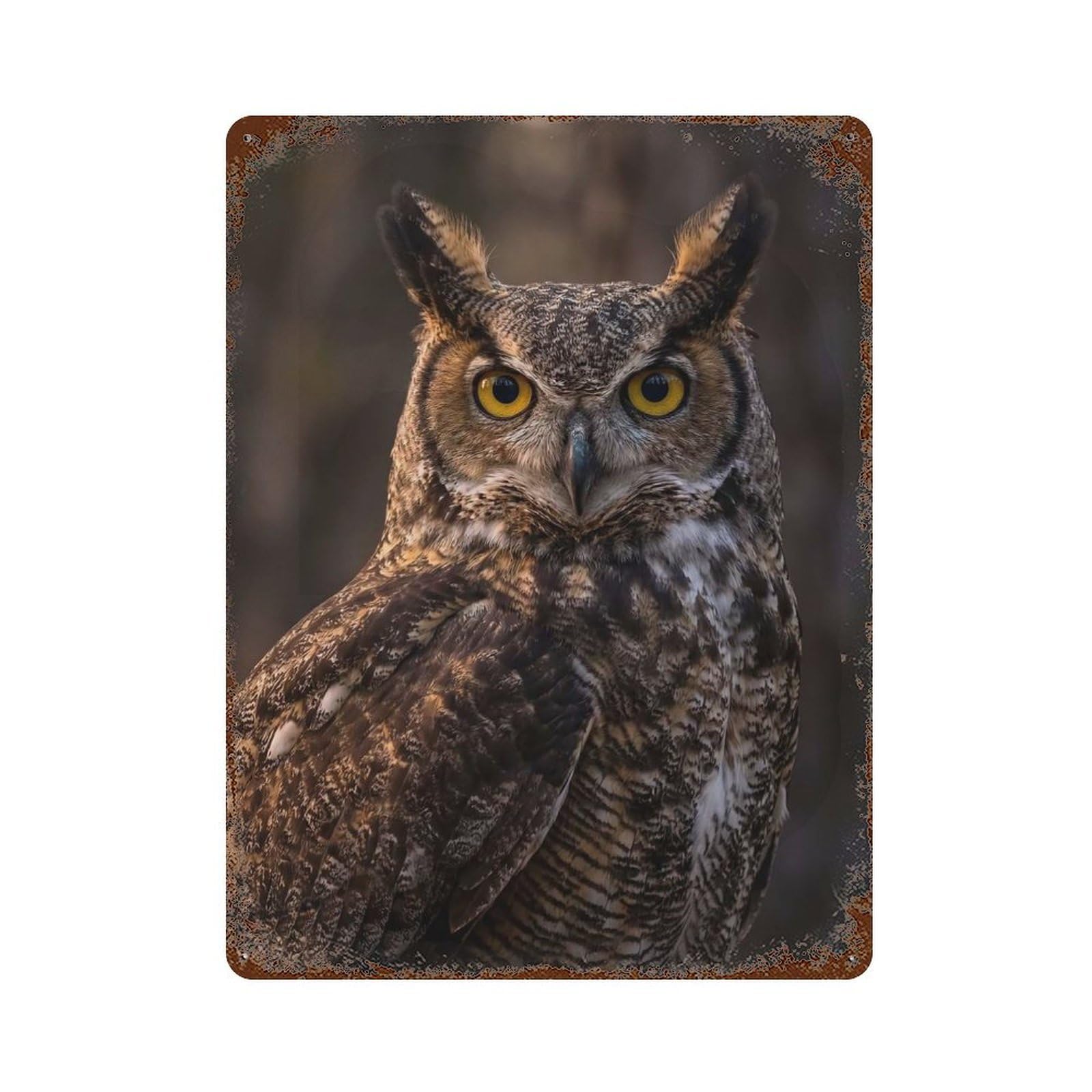 Great Horned Owl Portrait Vintage Metal Tin Sign 15.7"x11.8", Ideal for Living Room, Hallway And Home Decor