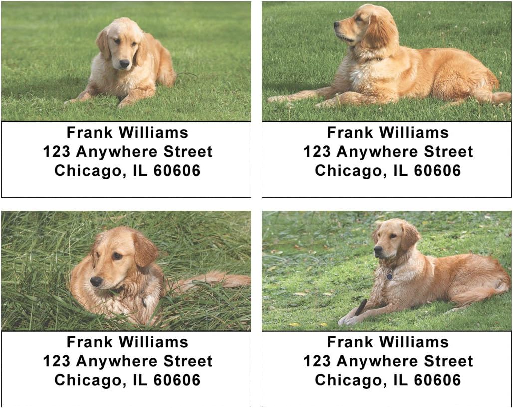 Goldens in The Grass Address Labels