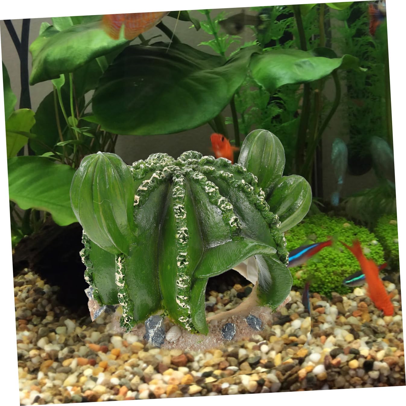 SUPVOX 4 Pièces Ornements D'Aménagement Paysager D'Aquarium Terrarium pour Reptiles Lampe Chauffante pour Reptiles Lézard Terrarium Tortue Accessoires D'Enceinte Gecko Bricolage Cachette