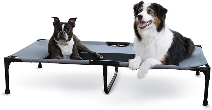 XLarge Elevated Dog Bed
