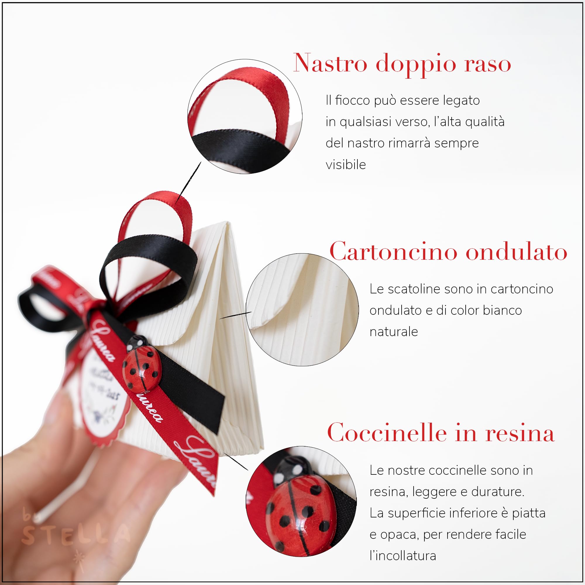 Set Completo Bomboniere Laurea, Scatoline Portaconfetti con Coccinelle, Bigliettini, Doppi Nastri e Sacchettini, 25 Pezzi