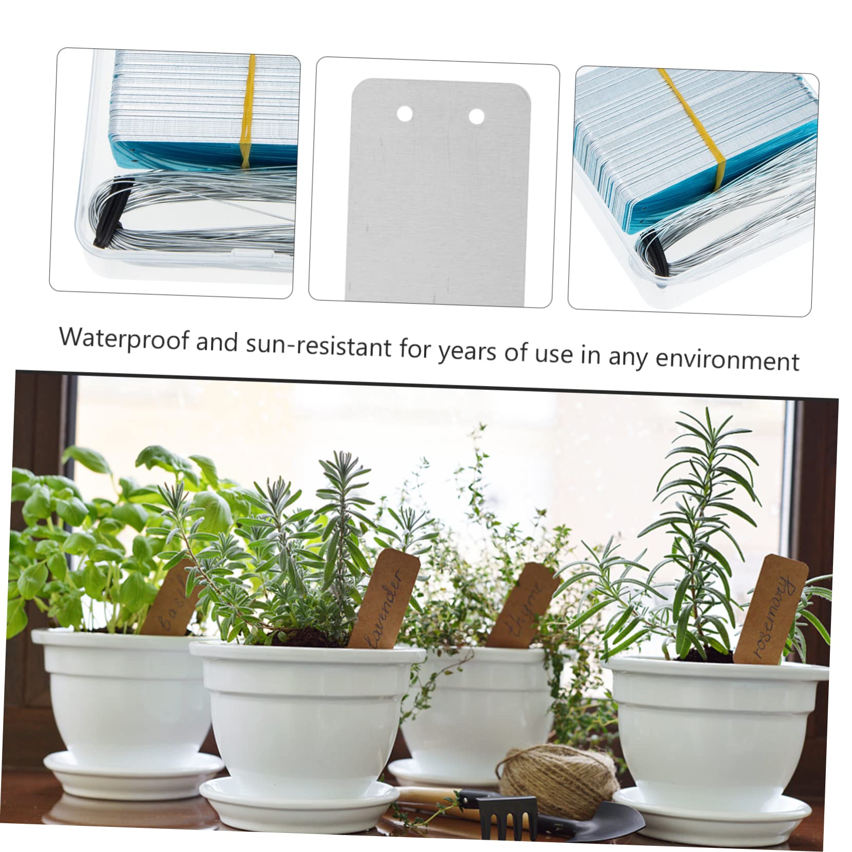Toyvian Pflanzschilder Aus Hochwertigem Material Gartenstecker Für Pflanzenetiketten Praktische Namensschilder Für Pflanzen Pflanzensteckstecker Für Gartenpflanzenmarkierungen