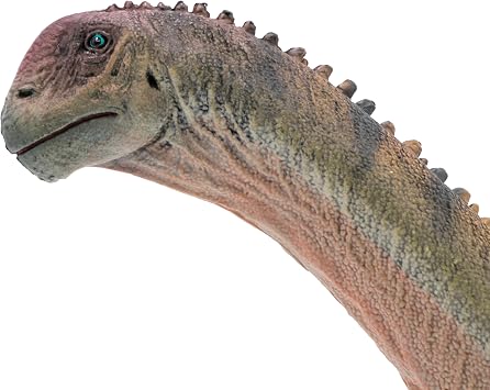 New Camarasaurus 1:35 Science and Art Model (Peng Qi)